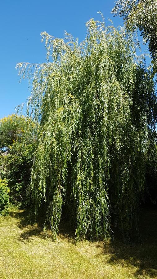 Chambre D'Hotes Liz'A Saint-Côme-de-Fresné エクステリア 写真